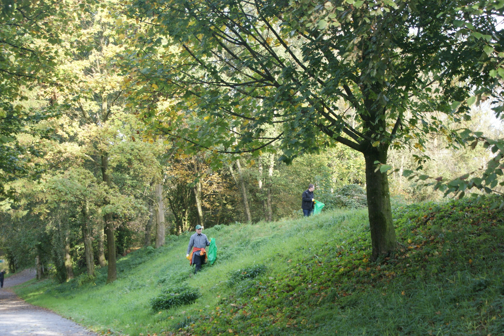 117.JPG