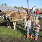 IMG_5514_JPG-1350328205