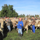 IMG_5505_JPG-1350327721
