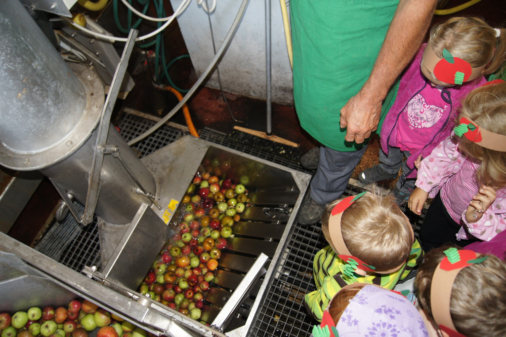 DSC00486_JPG-1350331131