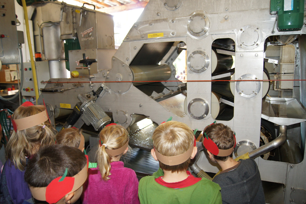 DSC00493_JPG-1350331226