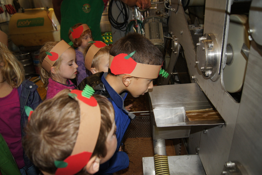 DSC00497_JPG-1350331271