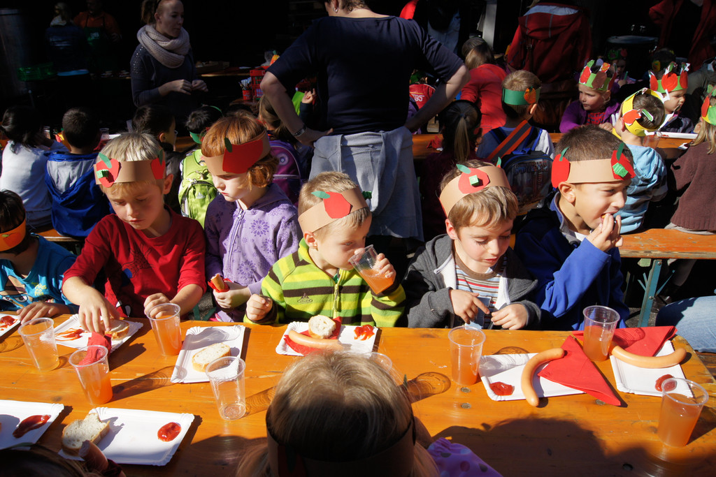 DSC00519_JPG-1350331375