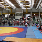 Flatz_2010__143_.JPG