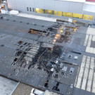 P1040513 _Medium_.JPG