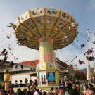12141294.jpg