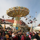 12141293.jpg