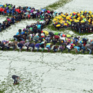 IBD0358-20121016.jpg