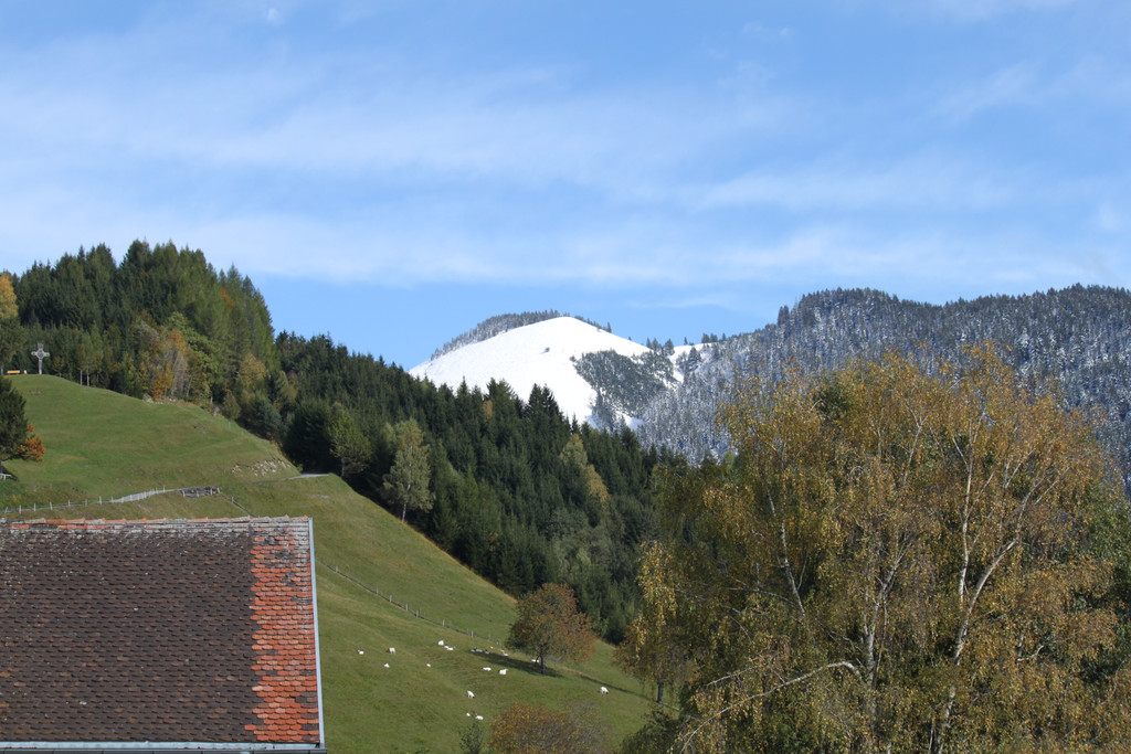 IMG_6777.jpg
