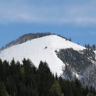 IMG_6780.jpg