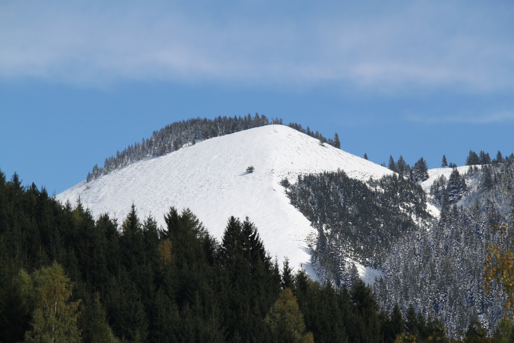 IMG_6780.jpg