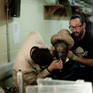 Krankl London487.jpg