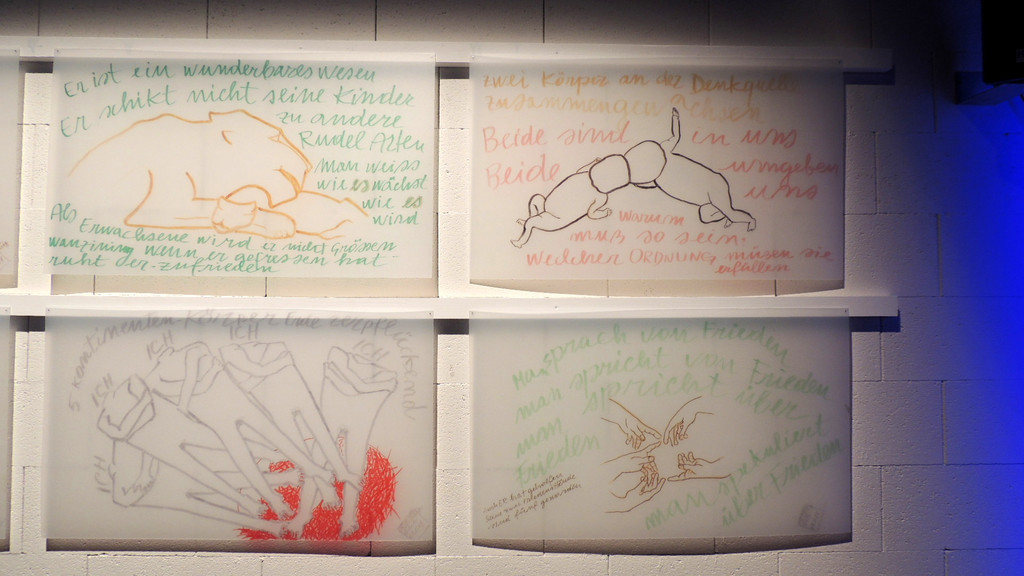 DSCN4674_JPG-1350423616