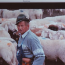 DSCN4634_JPG-1350426841