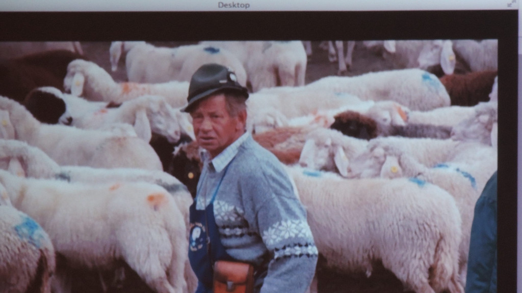 DSCN4634_JPG-1350426841