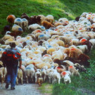 DSCN4635_JPG-1350426845