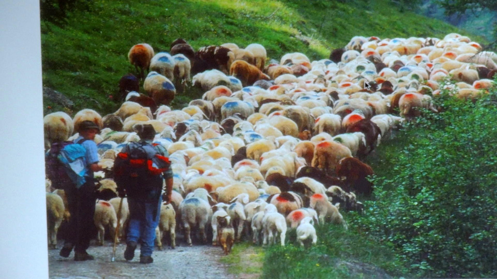 DSCN4635_JPG-1350426845