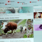 DSCN4637_JPG-1350426848