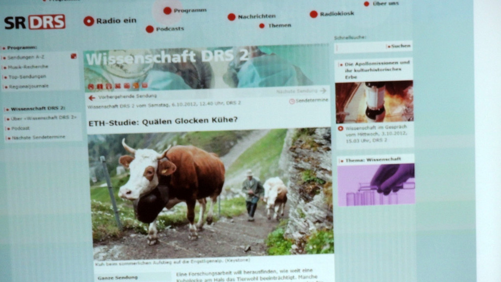 DSCN4637_JPG-1350426848