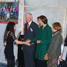 START_DSC_7782_jpg-1350427426