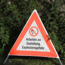 DSCN5080_JPG-1350431879