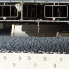 DSCN5013_JPG-1350432648