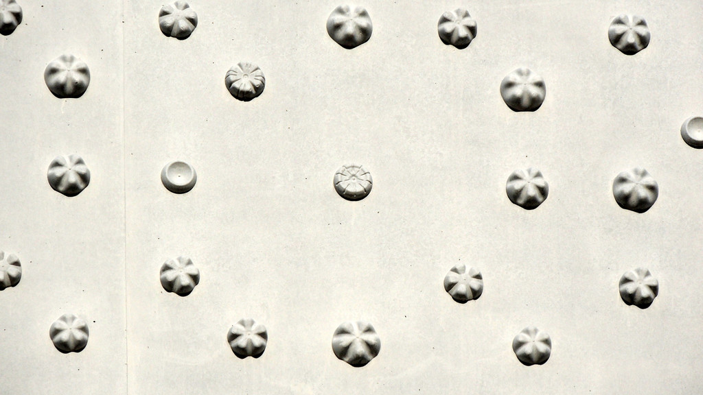 DSCN5018_JPG-1350432673