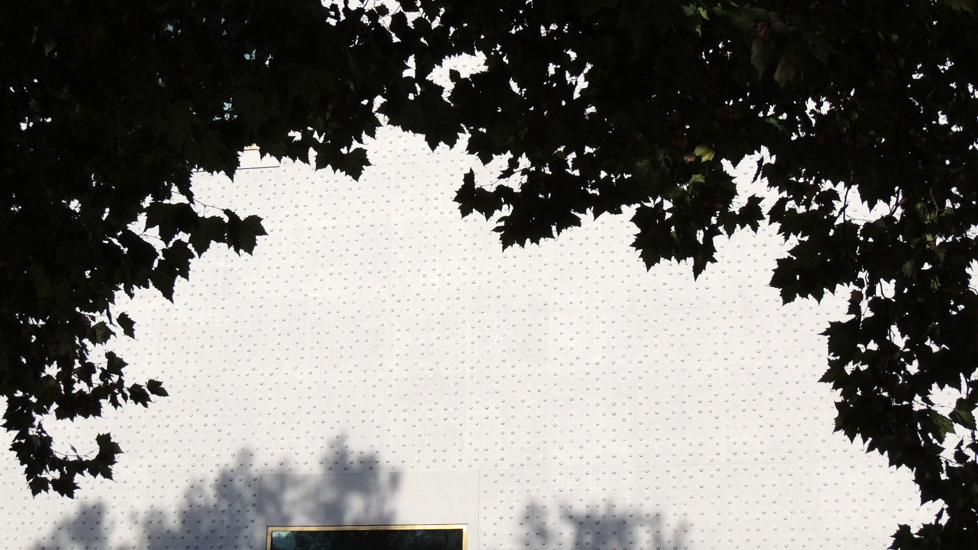 DSCN5002_JPG-1350432624