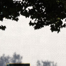 DSCN5002_JPG-1350432624