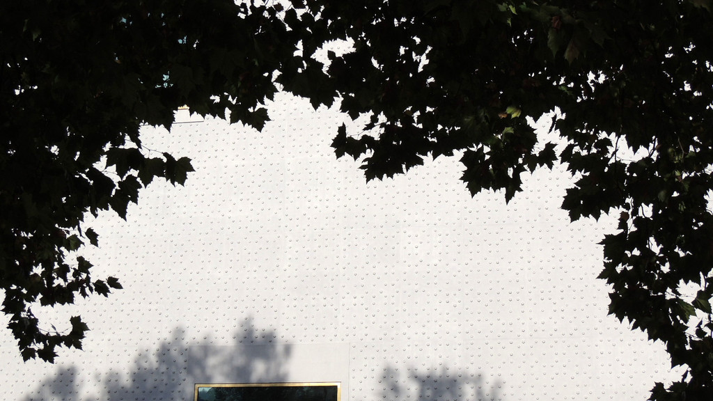 DSCN5002_JPG-1350432624