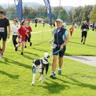 Stundenlauf11_jpg-1350475863