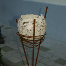 088_JPG-1350546455