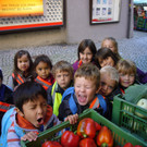 Besuch beim Gemüsemarkt in Bludenz 