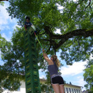 104_0458_jpg-1350598533