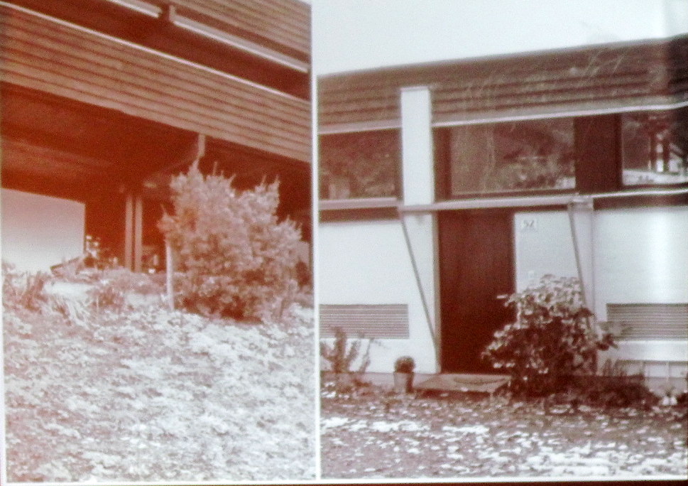 IMG_0227_JPG-1350598915