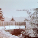 IMG_0230_JPG-1350598939