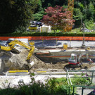 115_5384_JPG-1350599874