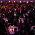 DAB0423-20121019.jpg