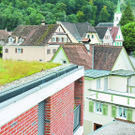 Cover_100_1770.JPG
