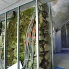 115_5411_JPG-1350685783