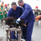Otti und Nolde beim buscheln.JPG