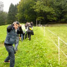 KOE_G__fis Jungb__rger 4_jpg-1350719702