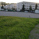 Sport Ems 2012 191_jpg-1350720537