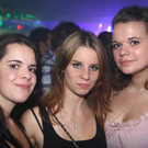 12147060.jpg
