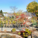 Decker 20-10-2012 46_jpg-1350734767