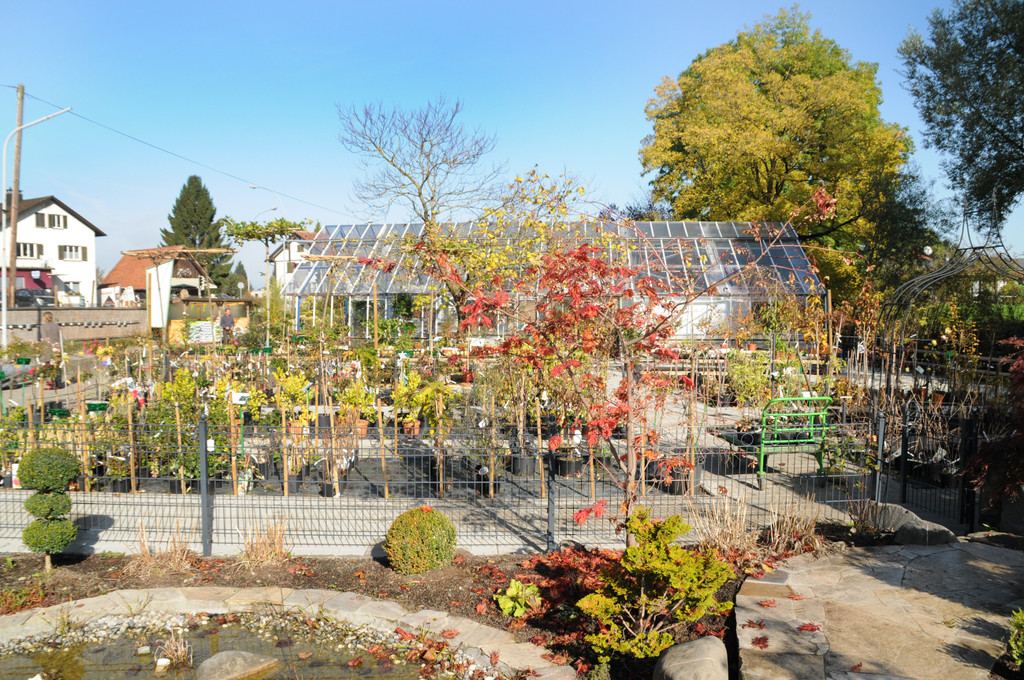 Decker 20-10-2012 46_jpg-1350734767