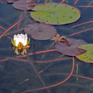 Decker 20-10-2012 52_jpg-1350734797