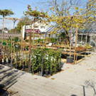 Decker 20-10-2012 412_jpg-1350734834