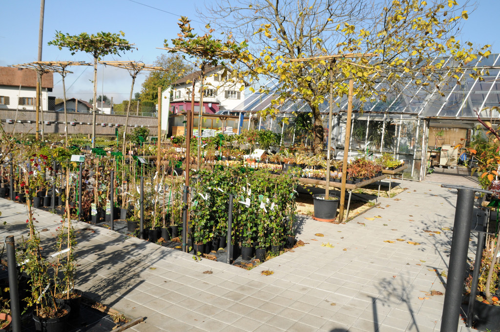 Decker 20-10-2012 412_jpg-1350734834