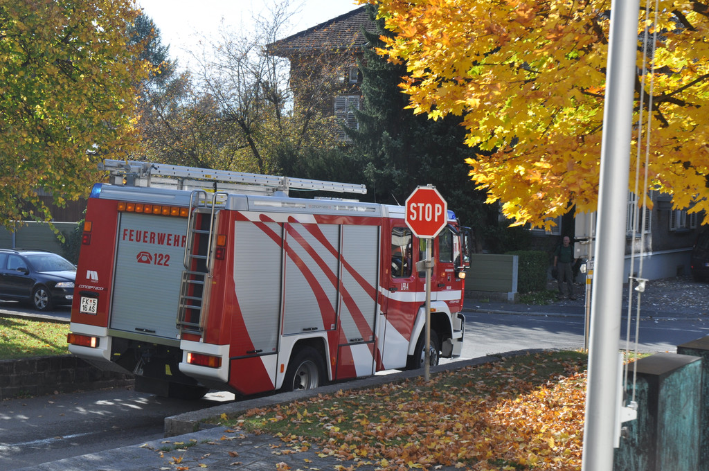 DSC_0016 - Kopie_JPG-1350802491